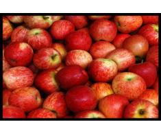 Digital Republic.com 40184 Paillasson Polyamide-PVC sans Phtalate