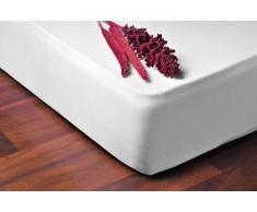 DecoKing Spannbettlaken Drap Housse, Coton, weiÃ, 100 x 200-120 x 200 cm