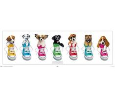 1art1 48714 Poster Chiens Midi Sneakers par Keith Kimberlin 91 x 30 cm