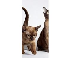 PeelitStickit ID-062 60 Largeur x Hauteurâ¯: 130 cm Haute Qualité Chat Animal en Vinyle Papier Peint Mural