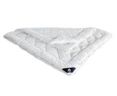 IRISETTE Bettcomfort Vitamed, Duvet, 4 saisons, Blanc, 200 x 200 cm