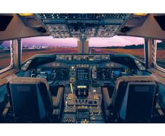 Empire Poster photo du cockpit dun Boeing 747-400