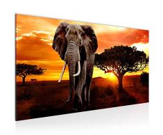 Tableau decoration murale ÃlÃ©phant dAfrique - XXL Impression sur Toile Salon Appartment 1 Parties - prÃªt Ã accrocher - 001212a