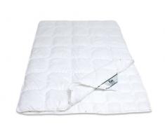 Frankenstolz Kansas 52011-09625-10 Couette 4 saisons 155 x 220 cm