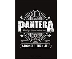 Générique Drapeau Pantera/Drapeau/Poster Drapeau Stronger Than All