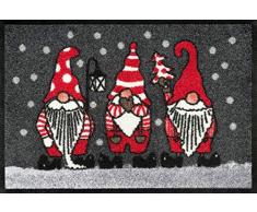 Wash + Dry Grau Tapis, Surface en Polyamide, Gris, 40/60