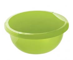 Rotho 1779605519 Cuvette Ronde Daily 6l, Plastique, Vert, 45 x 35 x 25 cm