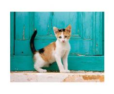 Affiche 30x40 cm Chaton devant un porte vert pÃ¢le / Kitten in front of a pale green door Jean-Louis KLEIN, Marie-Luce HUBERT