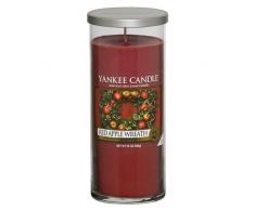 YANKEE CANDLE 1253132E Bougie Parfumée en Pot Pomme Rouge, Taille L