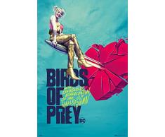 ErikÂ® Poster Birds of Prey, Broken Art, 68 x 91, 5 cm