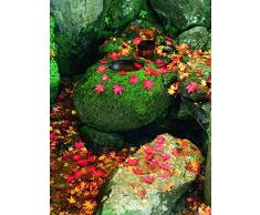 Affiche 30x40 cm Jardin Zen / Zen Garden Akira KAEDE