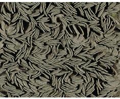 Toulemonde Bochart Collection Linea Modèle Cips Tapis Laine Taupe 300 x 200 cm