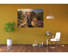 AG Design FTM 0865Â Ã©lÃ©phant Papier Papier Peint Photo, Multicolore, 160Â x 115Â cm