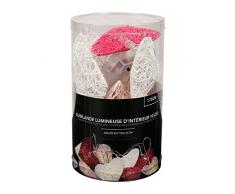 Sema 99498 Guirlande Electrique CÅurs Roses et Blancs x10 Boîte PVC, Texture