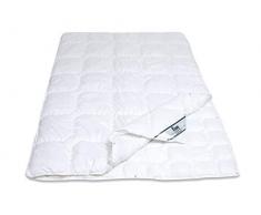 f.a.n. Frankenstolz 5210MF10V0017 Couette matelassée 4 saisons f.a.n. Kansas 135 x 200 cm DSB 135 x 200 testée très bien par le magazine Oeko-Test