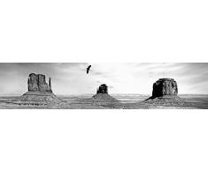Papier peint fresque MONUMENT VALLEY B&W 12 x 2,70 m | DÃ©co murale Scenolia