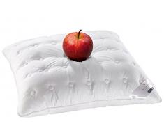 Billerbeck 5453700001 e33 Nettoyage Plus Fest Oreiller 80 x 80 cm