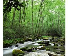 Papier Peint déco poster FORET DE SHERWOOD 3 x 2,70 m | Déco et photo murale XXL Qualité HD Scenolia