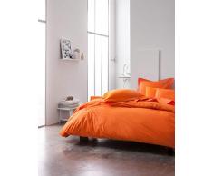 Today 201882 Taie de Traversin Coton Ivoire 45 x 185 cm