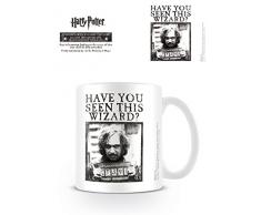 Harry Potter MG24173 (Wanted) Mug, Céramique, Multicolore, 11ox/315ml