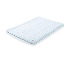 CelinaTex First Class 5000974 Couette Toutes Saisons 200 x 220 cm Respirante Lavable Ã 95 Â°C pour lhiver et lÃ©tÃ©