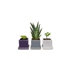 Chive Vase à Pois en céramique - Parent