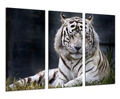Tableau Moderne Photographique, Impression sur bois, Tigre blanc, animaux, 97 x 62 cm, ref. 26310