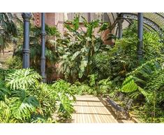 Scenolia Tapisserie Toile Textile Jardin Tropical VÃ©gÃ©tation Barcelone 4 x 2,70m - DÃ©coration Murale Effet Trompe lâOeil - RevÃªtement Panoramique Tapisserie Poster - Pose Facile et QualitÃ© HD