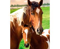 GB eye Mini poster Motif cheval et poulain Multicolore 40 x 50 cm