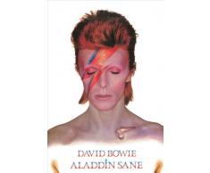 Pyramid International PP31521 Poster, Papier glacé, Multicolore, 91,5x61cm