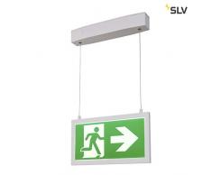 P-Light 33Â PL, lampe suspension