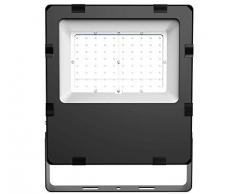 Espled Projecteur LED 100 W, 100 W, noir