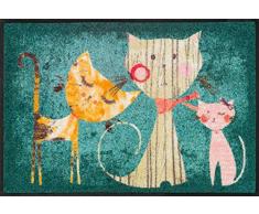 Wash + Dry Bunt Tapis, Surface en Polyamide, ColorÃ©, 50/75