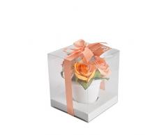 Sentiflore 6DPO101OA Pot Pourri Roses en Pot Orange 12,5 x 12,5 x 14,5 cm