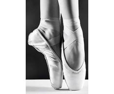 Scenolia Tableau dÃ©coration Murale Danse Classique 40 x 60 cm | dÃ©co Design imprimÃ©e en France