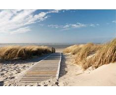 Scenolia Tableau dÃ©coratif Grand Format sur Toile Chemin des Dunes 90 x 60 cm | Impression Haute qualitÃ©