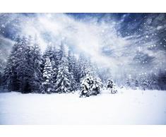 Papier Peint dÃ©co poster SOUS LA NEIGE 3 x 2,70 m | DÃ©co et photo murale XXL QualitÃ© HD Scenolia