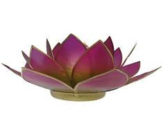 Trimontium tl12016g Photophore Prairie sous la Forme dune dreiblättrigen Fleur de Lotus Capiz avec Info de Coquillage, Bicolore Rose/Vert, 14 x 14 x 8 cm