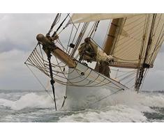 Scenolia Tableau Verre Acrylique déco & Design GOELETTE 70 x 50 cm | Déco Murale Qualité HD