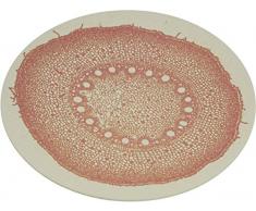 zuperzozial Petite Assiette Ã Mordre DNA Rose, Nylon/A