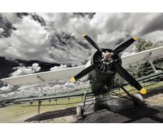 Scenolia DPP9W04000270WD4U166855 Papier Peint, 4 m x 2,7 m