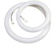 Led Atomant 2 x Led G10, 30 cm (18 W) et 22,5 cm (12 W), Blanc froid 6500K, Tube de cuisine standard et circulaire. Pas besoin de dÃ©marreur, 52