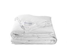 De Witte Lietaer 191664 Couette Naturelle Ducky Enveloppe Percale Garnissage plumes et plumettes 240 x 220 cm