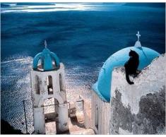 Affiche 24x30 cm Chat en GrÃ¨ce / Cat in Greece / Katze in Griechenland Hans SILVESTER