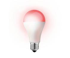 Smartwares Smart Home Pro | Ampoule LED E27 colorÃ©e, rÃ©glable & dimmable | Compatible avec Alexa & contrÃ´lable avec lApp via la station de base |