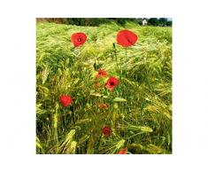 Poster vertical XL déco À LOMBRE DES PALMIERS 150 x 240 cm | Trompe lœil Déco murale Qualité HD Scenolia