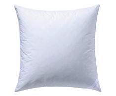 Billerbeck Coussin 5453670001 Coussin d/f 50%, env. 40 x 40 cm