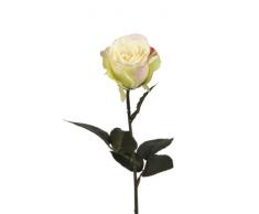 BELLAFIORA 01AMAZ034894 Fleurs Artificielles Rose Equateur Rose Crème 50 cm