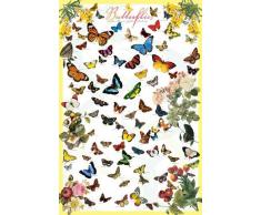 Empire Poster Butterflies pour connaître les variétés de papillons (noms en anglais) + accessoires de fixation multicolore