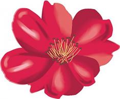 Indigos 4051719962000 Sticker Mural, Bunt, 40 x 32 cm